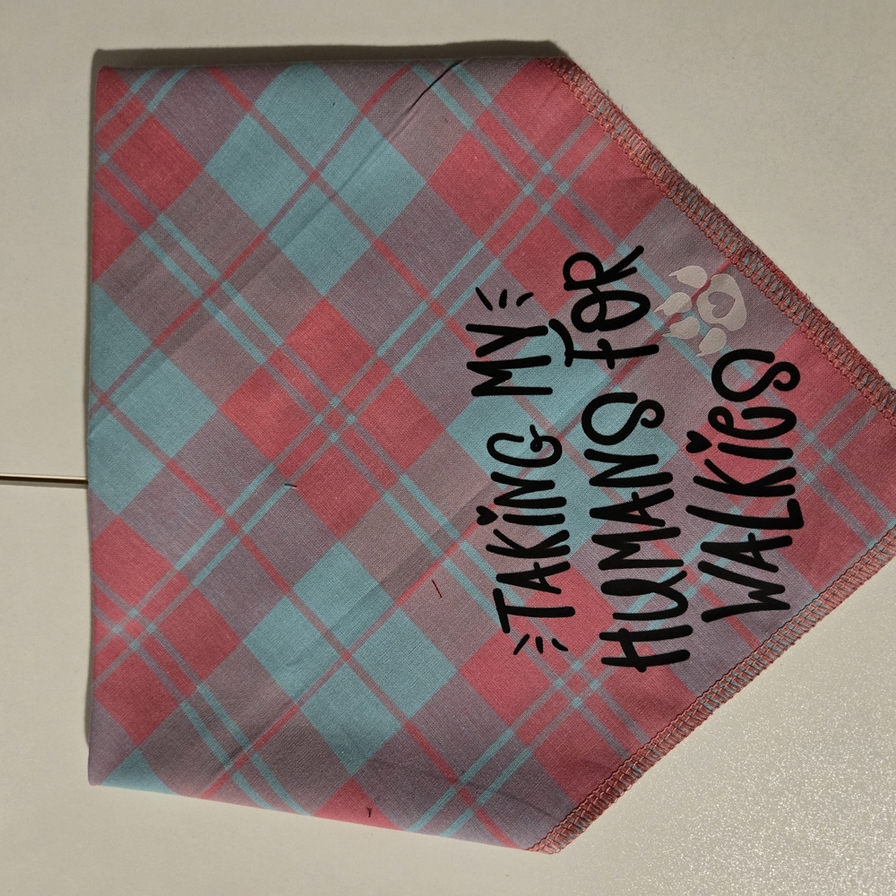 Plaid Dog Bandana with Fun Text